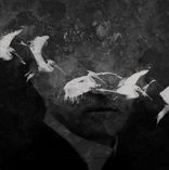 Artwork for "Phenomenon of Combination"