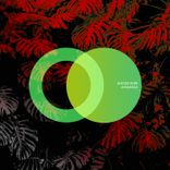 Artwork voor "Ayauasca"