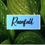 Portada para "Rainfall"
