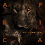 Artwork für "Africa"