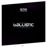 Artwork for "Tatsumaki"