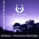 Artwork voor "Furious Feather"