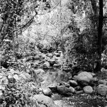 Artwork für "Buccaneers Bodice"