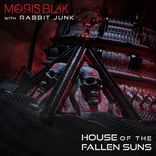 Artwork for "House Of The Fallen Suns"