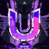 Artwork for "Own The Night"