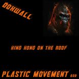 Portada para "King Kong on the Roof"