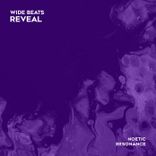 Artwork for "Reveal"