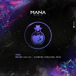 Artwork for "Flowing"