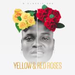 Artwork for "Yellow and Red Roses"