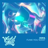 Artwork for "Funk You Want"