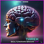 Artwork for "Boltzmann Brain (VIP)"
