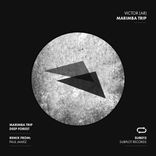 Artwork for "Marimba Trip Ep"