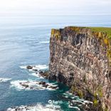 Portada para "Now Here"