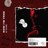 Artwork for "Now I'm Free"