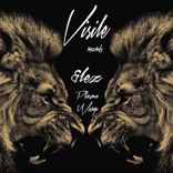 Portada para "Plasma"