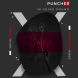 Artwork for "In Veins Sound"