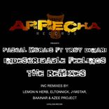 Portada para "Indescribable Feelings (The Remixes)"