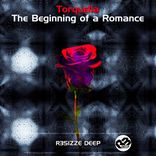 Artwork für "The Beginning of a Romance"