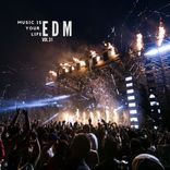 Artwork for "Music Is Your Life EDM, Vol.31"