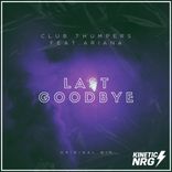 The Last Goodbye (Feat Ariana)