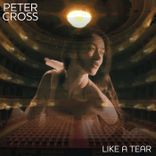 Artwork for "Like a Tear"