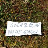 Artwork for "Harvest Garden"