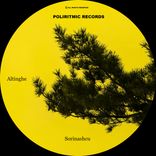 Artwork for "Altinghe"