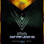 Artwork for "Can't Stop Loving You"
