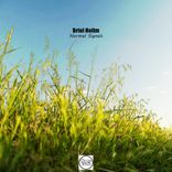 Artwork for "Normal Signals"