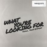 Artwork for "What You're Looking For"