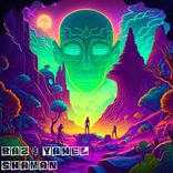 Artwork für "Shaman"