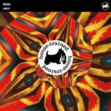 Portada para "Amber"