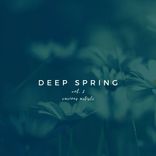 Artwork für "Deep Spring, Vol. 2"
