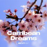 Artwork voor "Carribean Dreams"