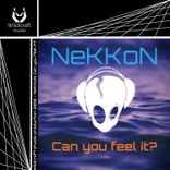 Artwork voor "Can You Feel It"