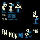 Artwork für "Eminor Mi 02"