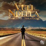 Artwork for "Vuli Ndlela"