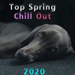 Artwork for "Top Spring Chill Out 2020"