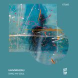 Artwork for "Sync My Soul"