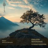 Artwork for "Endless Resonance"