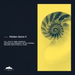 Artwork for "Hidden Gems V"