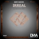 Artwork für "Irreal"