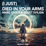 Artwork for "(I Just) Died In Your Arms"