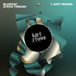 Artwork voor "I Just Wanna"