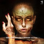 Artwork for "Epidemic"