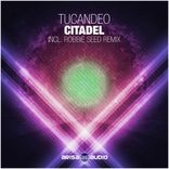 Artwork for "Citadel"