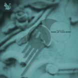 Artwork for "Wake up Your Mind"