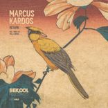 Return (Paul Kardos Remix)