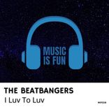 Artwork voor "I Luv To Luv"