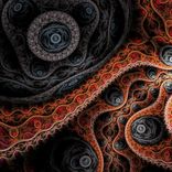 Artwork für "Oktapodi"